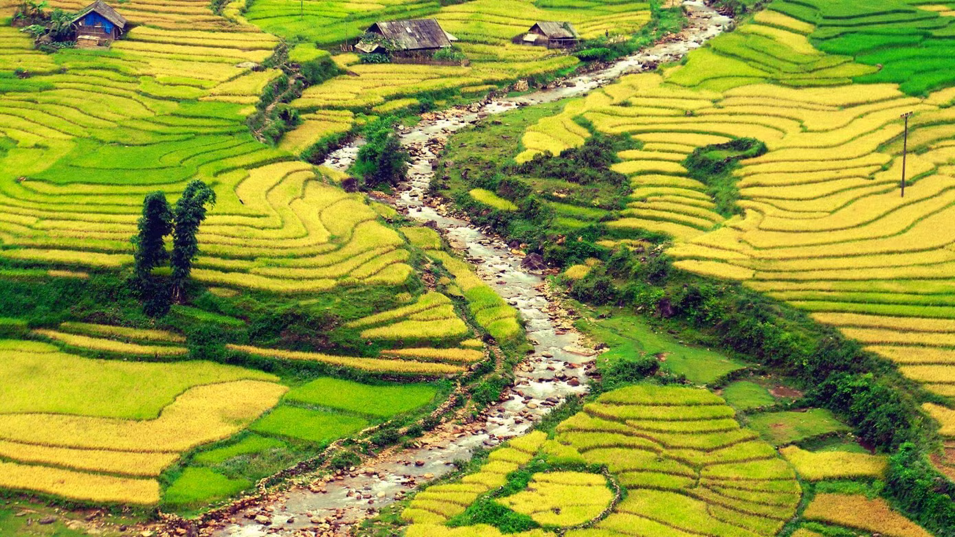 Bản Tả Van, Sa Pa, Lào Cai.