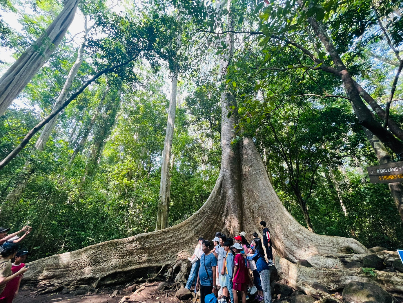 Cây Tùng 400 tuổi - một trong những điểm check-in lưu dấu khi đến đây.