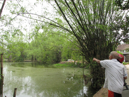 Cụ ông H.V.L chỉ cho phóng viên ao thiêng, nơi có rùa thần bị ăn thịt. Ảnh: Trường Phong.