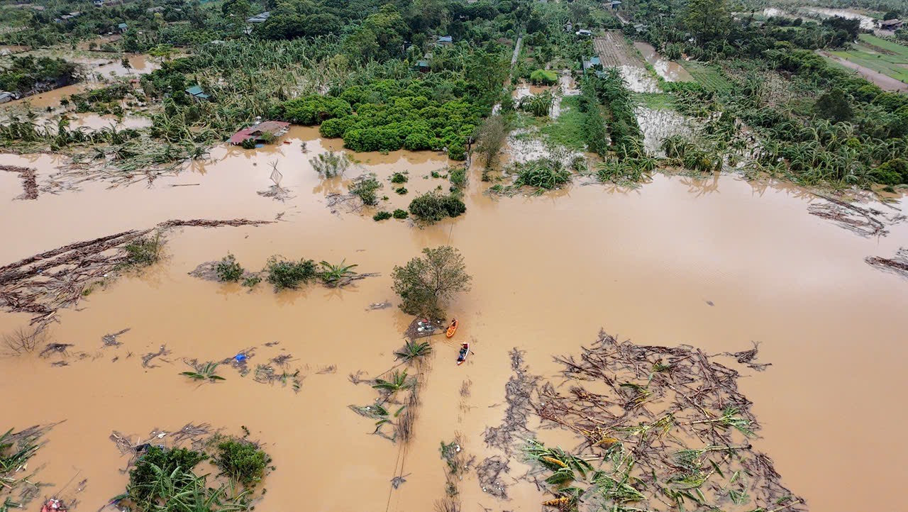 Nhiều diện tích cây trồng ở bãi sông Hồng bị thiệt hại nặng nề