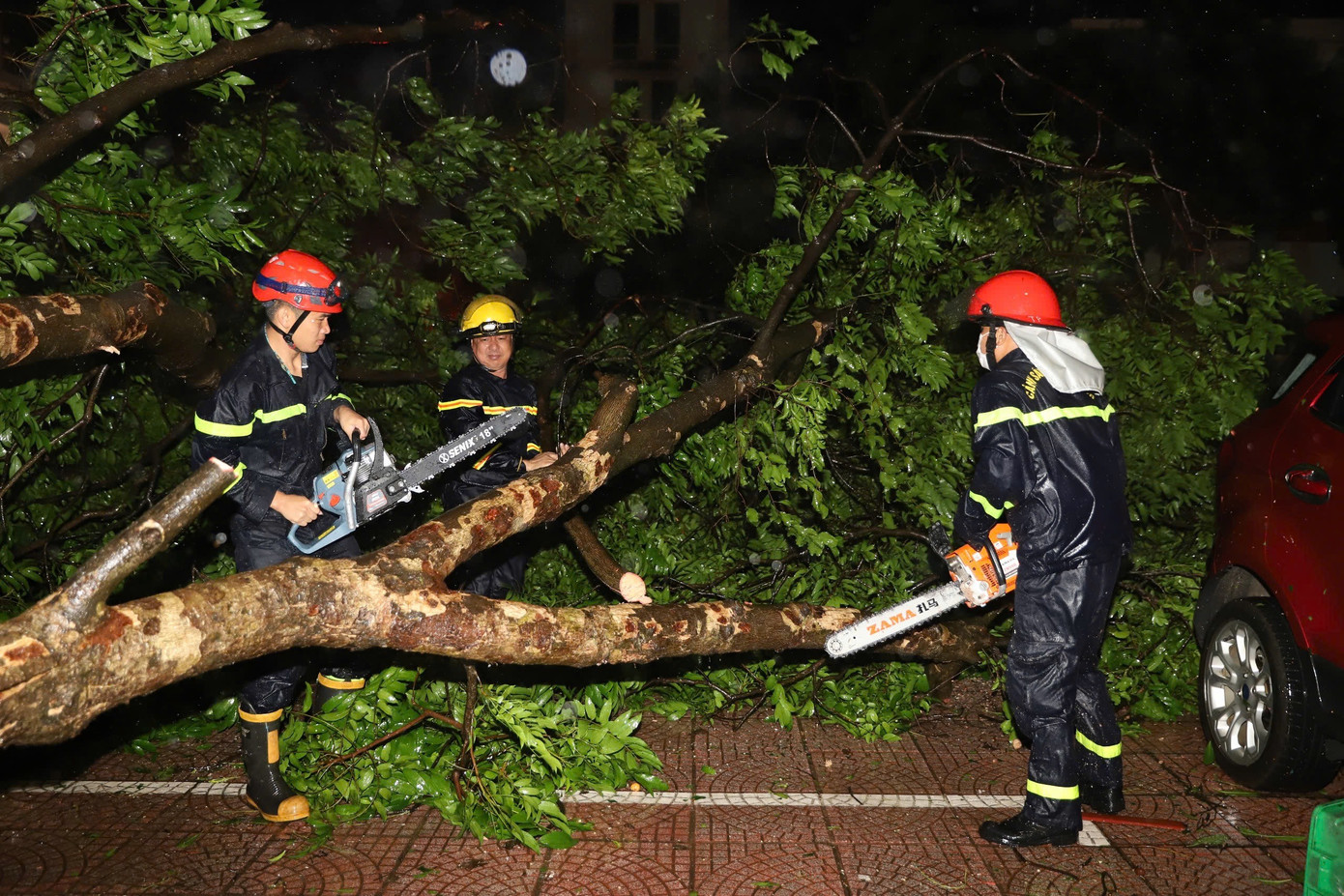 Nhiều cây cổ thụ trên đường phố Hà Nội bị quật đổ Nhiều cây cổ thụ trên đường phố Hà Nội bị quật đổ