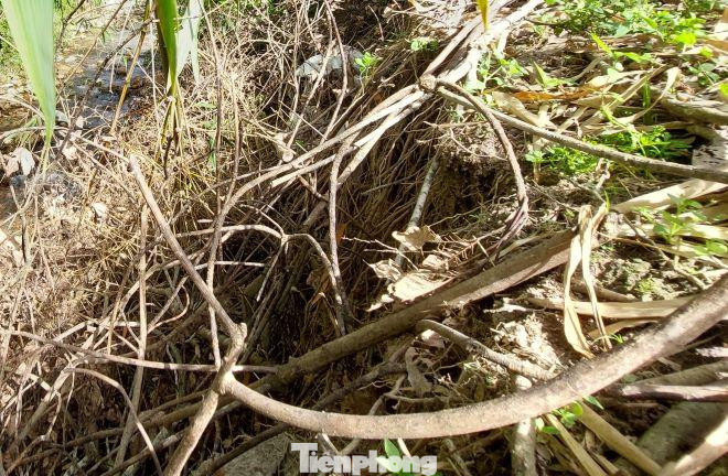 Nhiều đoạn bị sạt lở đất hai bên bờ suối Bưng Viết