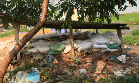 Hố ngâm ô mai được đào dưới đất, ngay cạnh đường, tiếp giáp với cánh đồng lúa