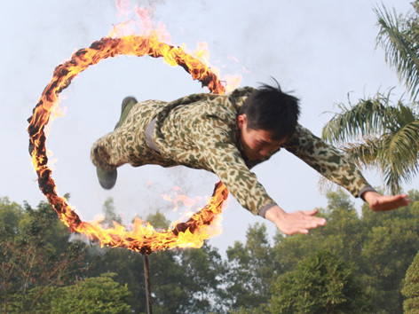 Bay qua vòng lửa. Bay qua vòng lửa