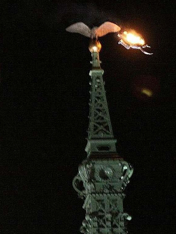 Người đàn ông tự thiêu vào lao xuống. Người đàn ông tự thiêu vào lao xuống