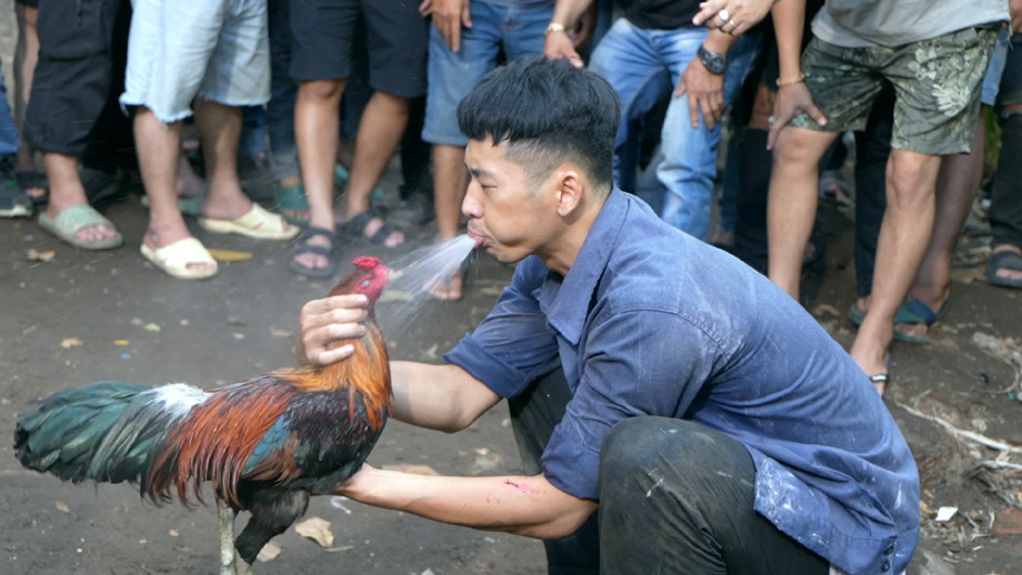 Nhân vật của Tuấn Trần cần phải kiếm số tiền lớn trong thời gian ngắn.