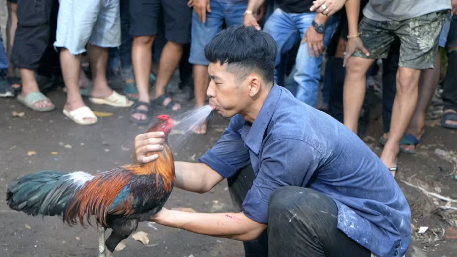 Nhân vật của Tuấn Trần cần phải kiếm số tiền lớn trong thời gian ngắn. Nhân vật của Tuấn Trần cần phải kiếm số tiền lớn trong thời gian ngắn.