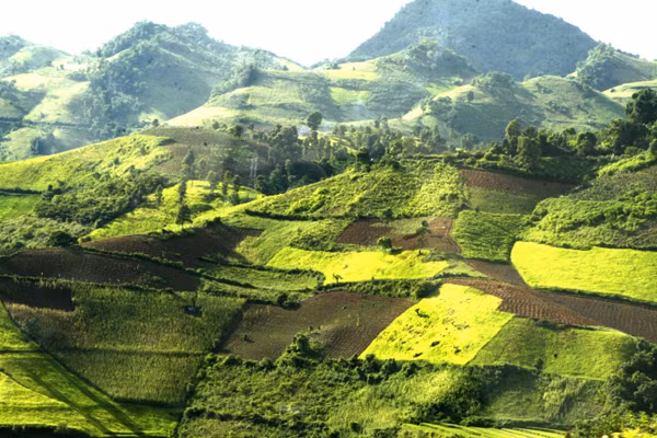Núi đồi