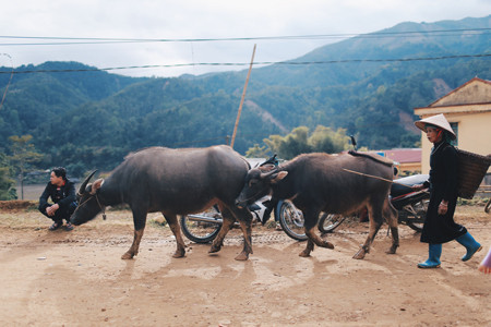 Cùng Hoa hậu Ngọc Hân thiện nguyện nơi lũ quét cuốn kinh hoàng ảnh 16