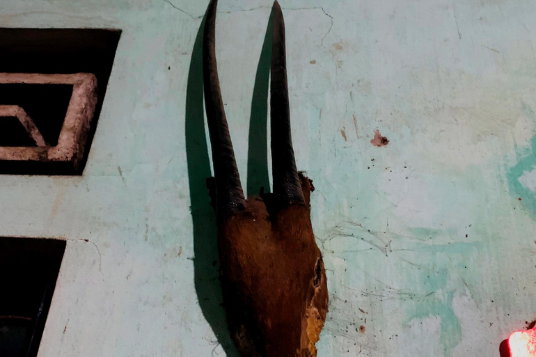 Hình ảnh chiếc đầu và cặp sừng của một con sao la được người dân treo trong nhà trước đây (Ảnh: Người dân cung cấp). Hình ảnh chiếc đầu và cặp sừng của một con sao la được người dân treo trong nhà trước đây (Ảnh: Người dân cung cấp).