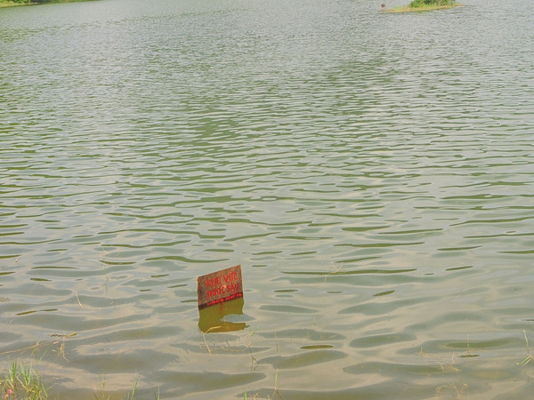 Tổng cộng, tám em xấu số đã bị đuối nước