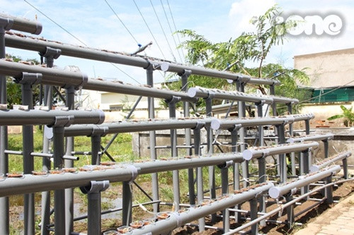 Hệ thống thủy canh đã hoàn chỉnh