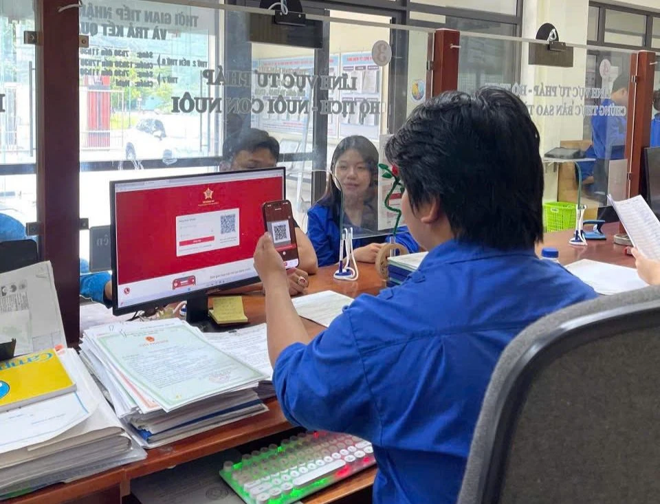 Thanh niên tình nguyện tại Đà Nẵng hỗ trợ dịch vụ công trực tuyến. Ảnh: TĐĐN