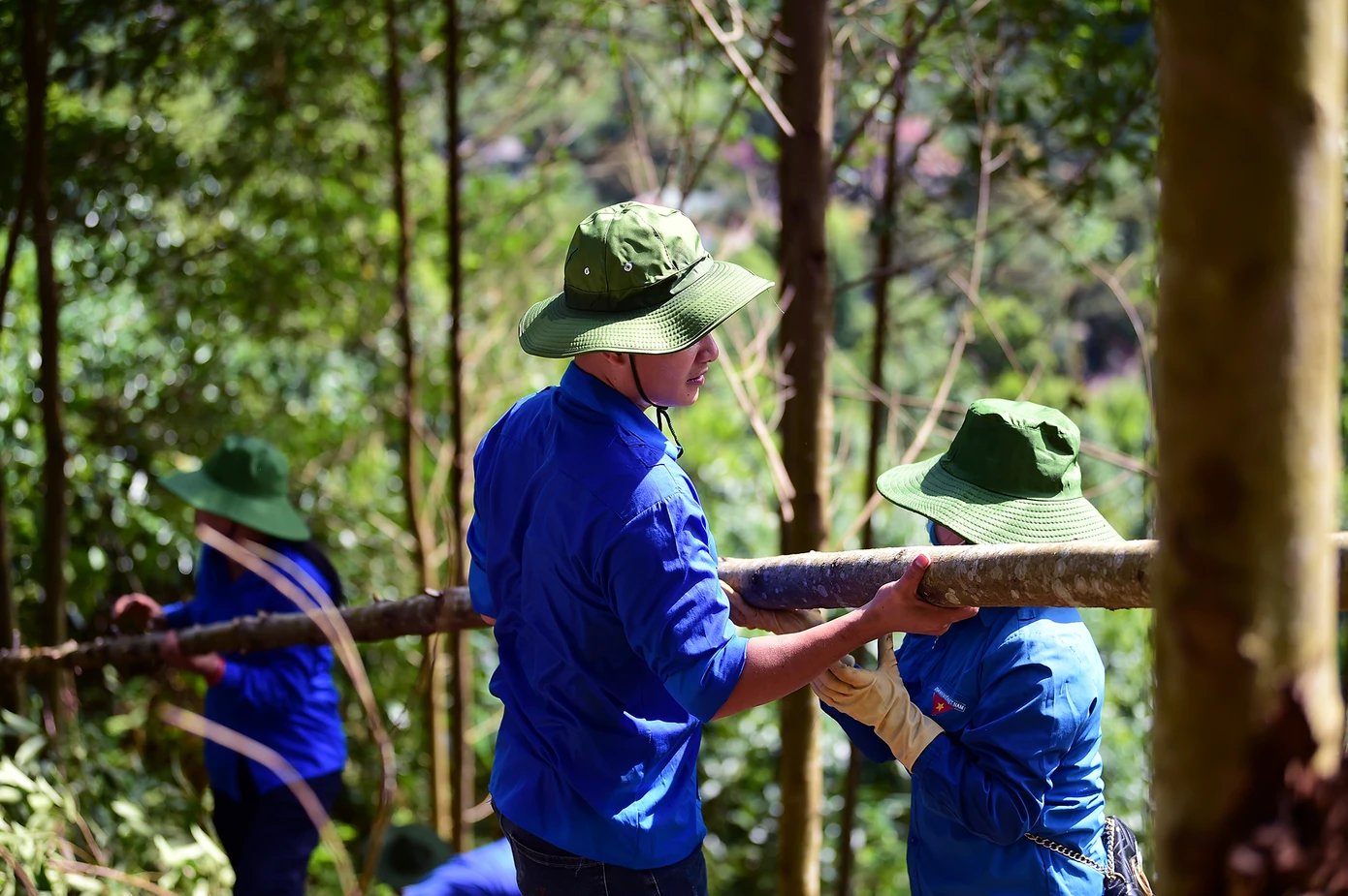 Đoàn viên thanh niên hỗ trợ hộ dân thu hoạch diện tích rừng quế, giải phóng mặt bằng phục vụ công trình điện. Ảnh: Xuân Tùng