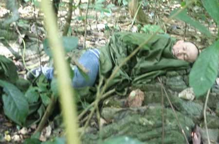 Phóng viên ngủ trưa trên bãi gỗ hóa thạch