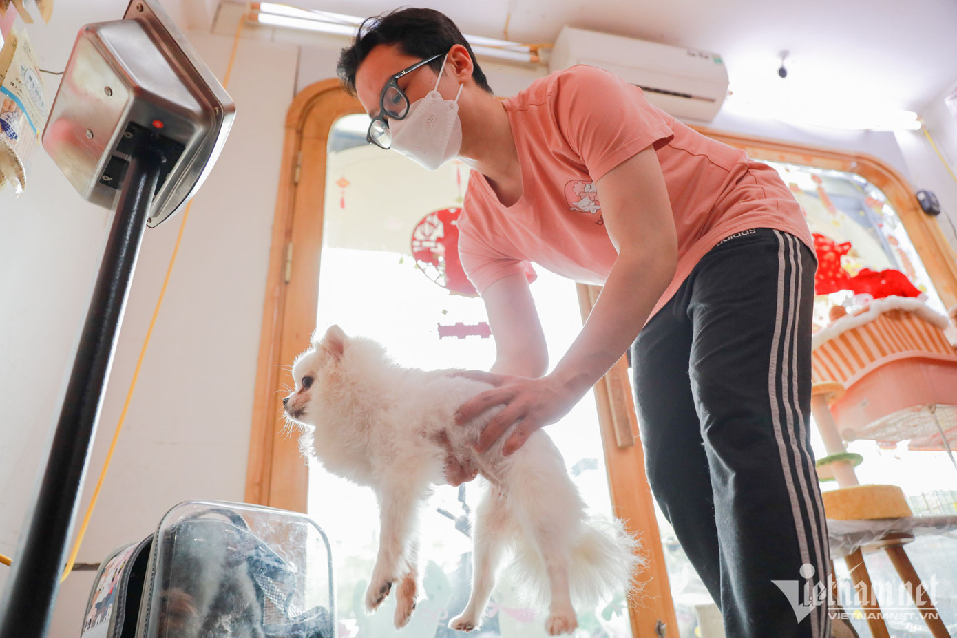 Tùy vào cân nặng, mỗi con chó sẽ có giá cắt tỉa làm đẹp từ 300.000-400.000 đồng, những ngày cận Tết dịch vụ này tăng giá nhẹ.