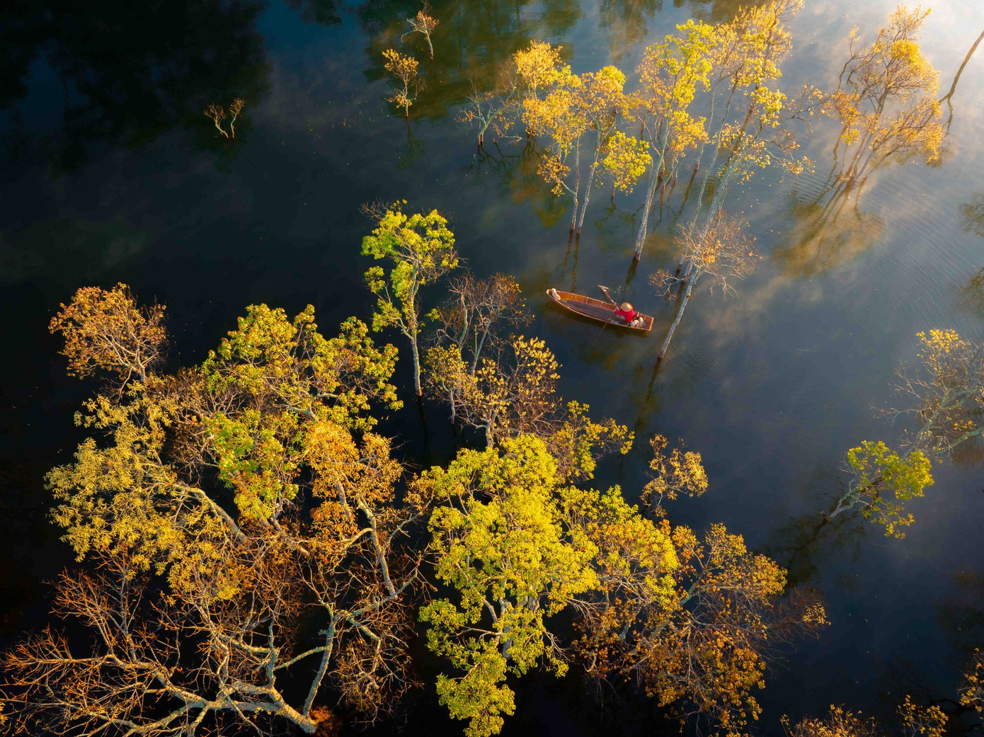 Theo một ứng dụng đặt phòng, Đà Lạt là điểm đến được quan tâm nhất vào Tết Âm lịch năm nay.