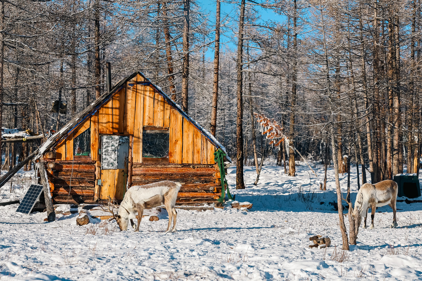 Theo chia sẻ của những người có kinh nghiệm du lịch Mông Cổ, đất nước này có diện tích rất lớn. Vì vậy, việc di chuyển giữa các điểm tham quan thường cách xa nhau và đường vào các làng địa phương cũng không rõ ràng, người dân thường di chuyển theo thói quen, đúng với bản chất của du mục. Do đó, cách tốt nhất cho các du khách là đặt land tour (chuyến đi do người bản địa tổ chức) để được sắp xếp tài xế có kinh nghiệm hướng dẫn tham quan.