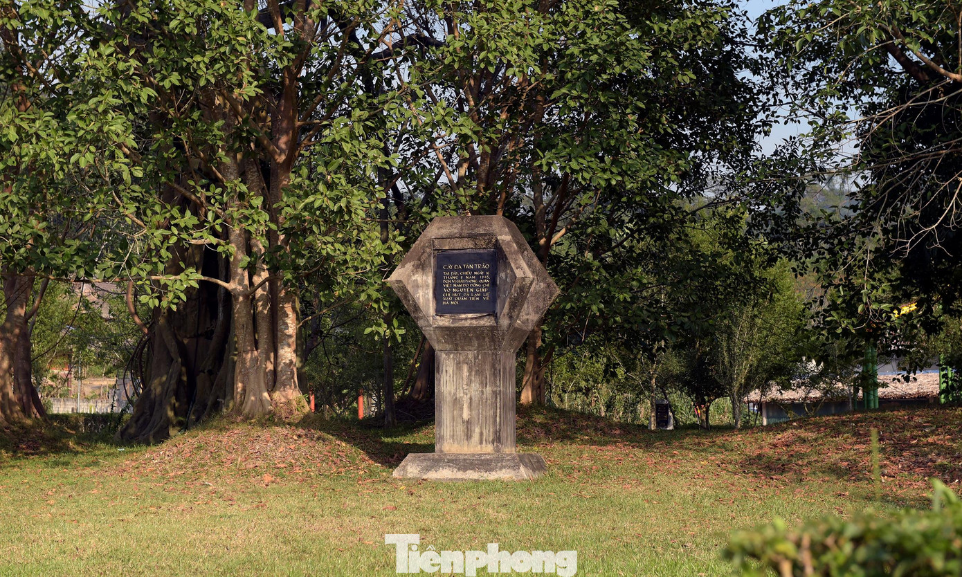 Đoàn thăm và chụp ảnh lưu niệm bên cây đa Tân Trào. Ảnh: Xuân Tùng Đoàn thăm và chụp ảnh lưu niệm bên cây đa Tân Trào. Ảnh: Xuân Tùng