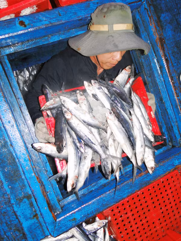 Thành quả thu về từ những ngày 