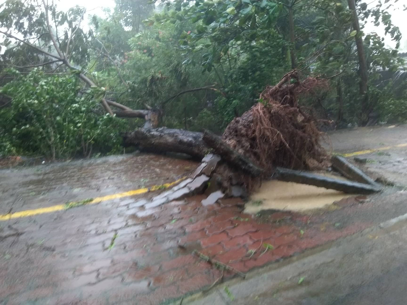 Bão số 9 suy yếu thành áp thấp nhiệt đới ảnh 1