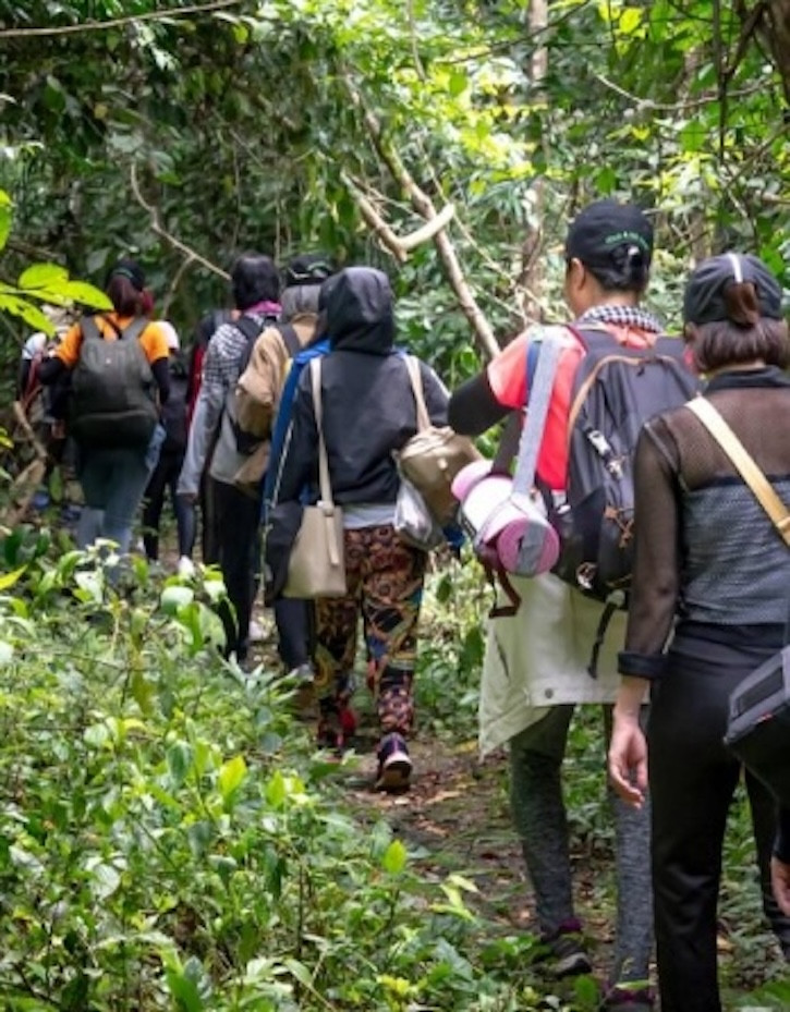 Du khách đi bộ trong rừng Nam Cát Tiên Du khách đi bộ trong rừng Nam Cát Tiên