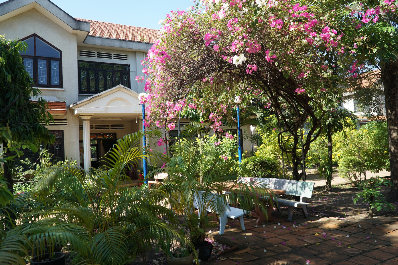 Nơi ở mới của các nghệ sĩ là căn nhà A6 với khuôn viên đẹp.