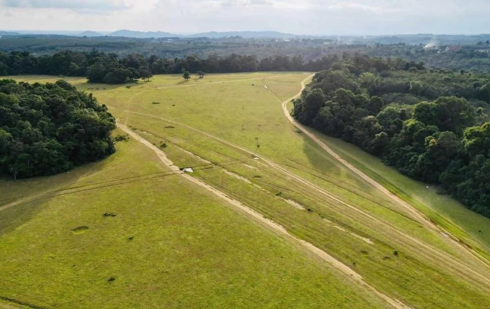 Trảng cỏ Bù Lạnh (Bình Phước) Trảng cỏ Bù Lạnh (Bình Phước)