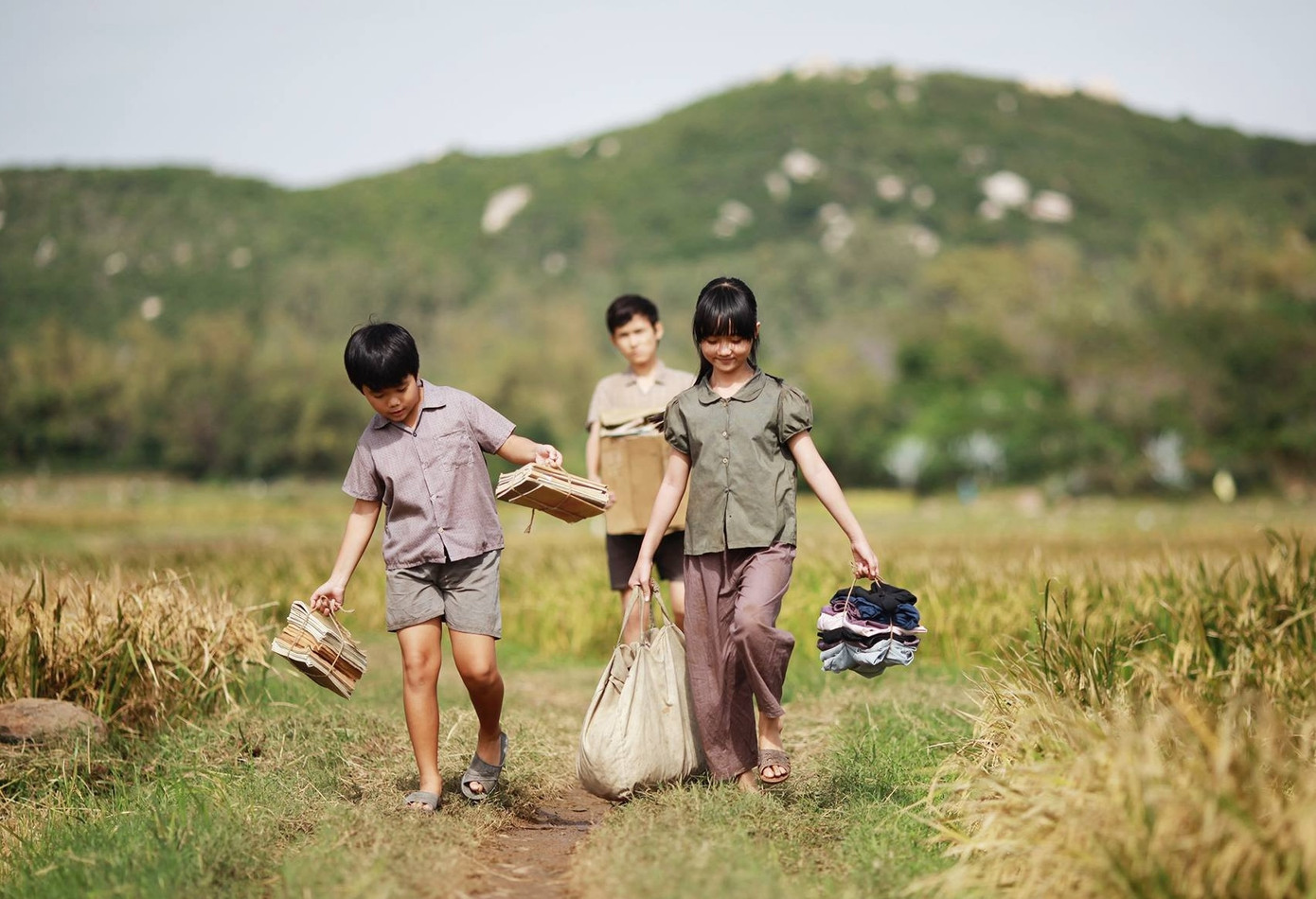 Bộ phim "Tôi thấy hoa vàng trên cỏ xanh" đã tạo động lực cho Gen Z tìm đến Phú Yên.