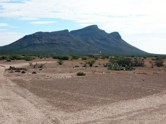 Ảnh: roswellbooks.com. Ảnh: roswellbooks.com