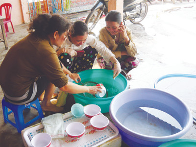 Một cơ sở tôm giống ở xã Long Toàn (Duyên Hải, Trà Vinh) không đủ tôm giống chất lượng để bán Ảnh: Diệu Hiền