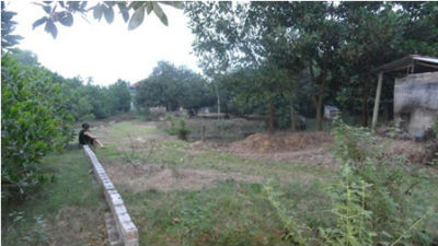 Những lô đất ở xã Yên Bài từng được nhiều người săn đón, giờ rao bán rẻ chẳng có ai mua
