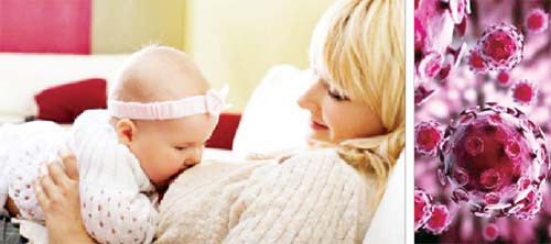 Tế bào sữa của những bà mẹ nhiễm HIV lại phản ứng mạnh với virut. Tế bào sữa của những bà mẹ nhiễm HIV lại phản ứng mạnh với virut