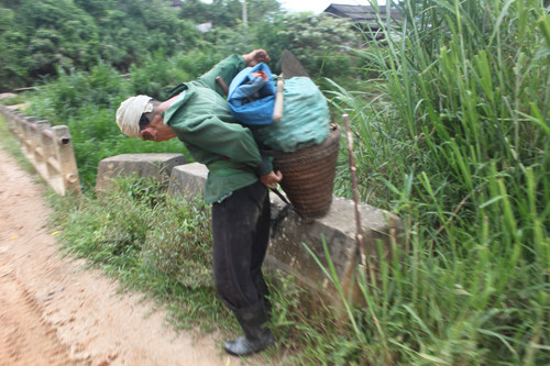 Xuyên rừng tìm Ngọc cẩu cường dương ảnh 2