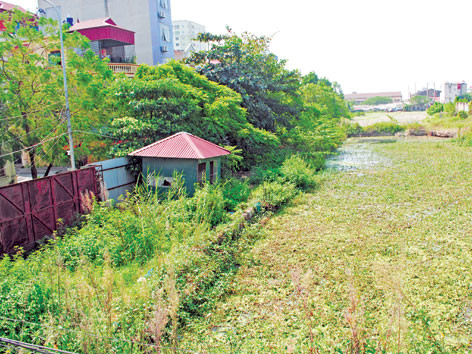 Khu đất xây dựng dự án căn hộ tại 409 Lĩnh Nam nay biến thành ao bèo . Khu đất xây dựng dự án căn hộ tại 409 Lĩnh Nam nay biến thành ao bèo