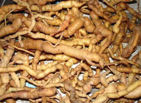 Thảo dược tuyệt vời cho chàng thêm 'ham muốn' ảnh 1