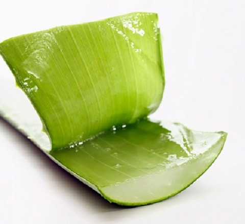 7 công dụng bất ngờ từ nha đam ảnh 1