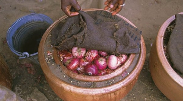 'Tủ lạnh' không cắm điện vẫn giữ thực phẩm tươi ngon gấp 9 lần bình thường ảnh 4