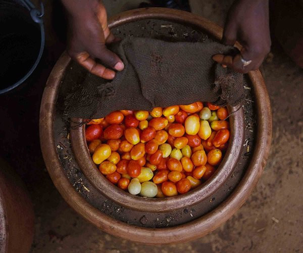 'Tủ lạnh' không cắm điện vẫn giữ thực phẩm tươi ngon gấp 9 lần bình thường ảnh 2