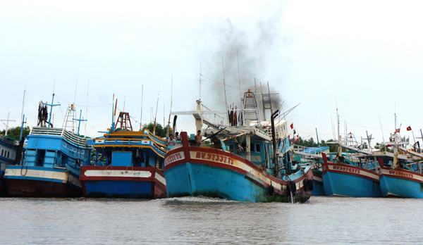 Áp thấp nhiệt đới uy hiếp, Cà Mau căng mình lo chống thiên tai ảnh 1