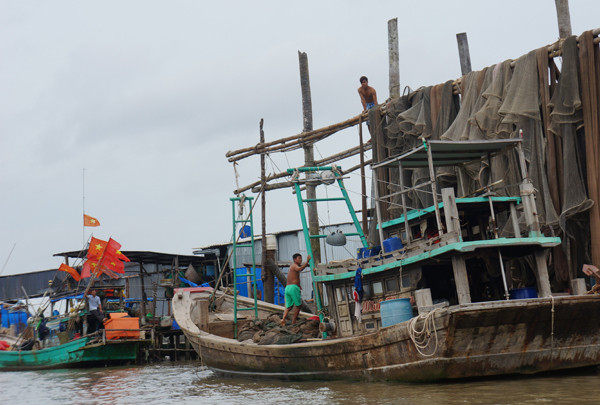 Áp thấp nhiệt đới uy hiếp, Cà Mau căng mình lo chống thiên tai ảnh 2