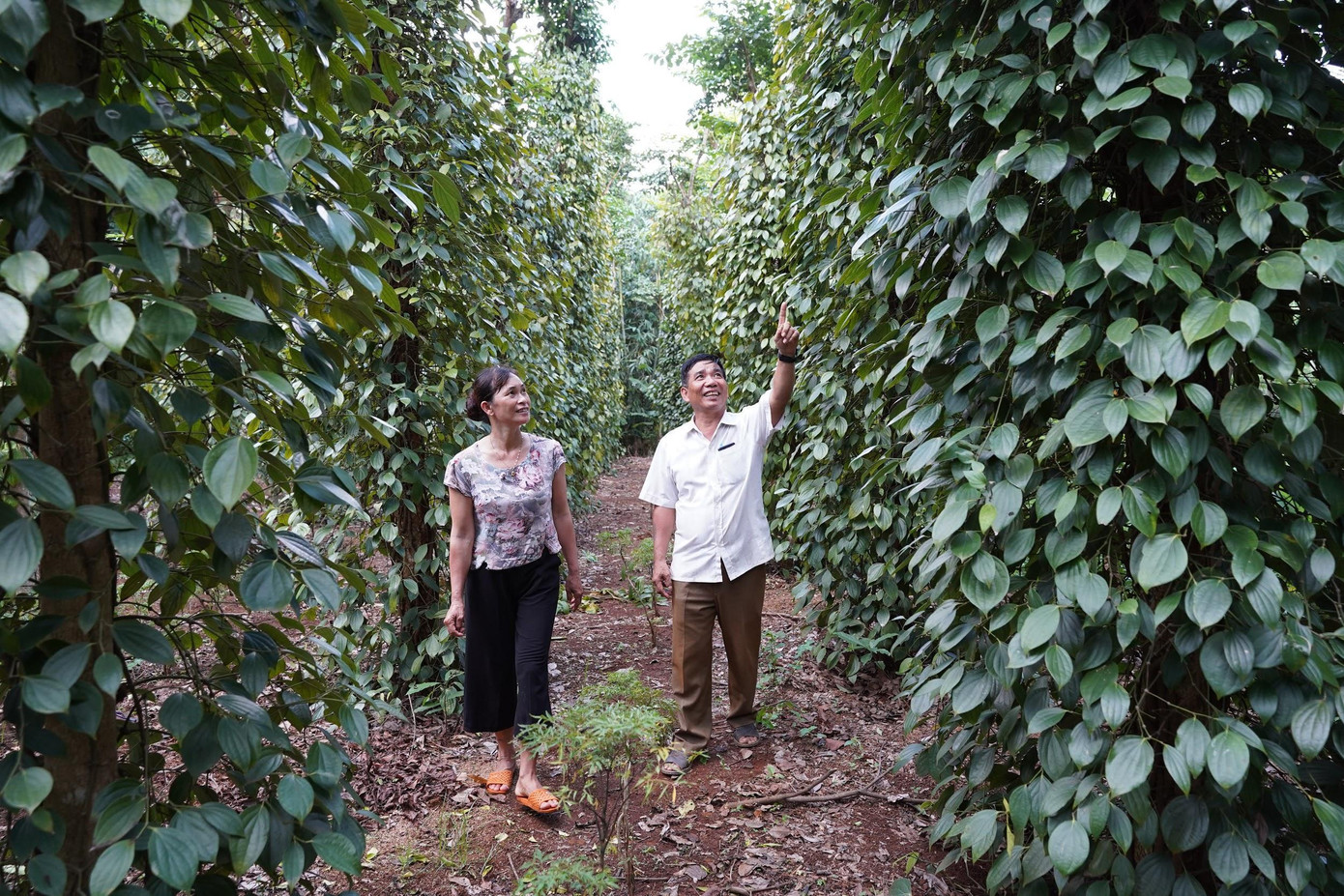 Chương trình sẽ tiếp tục mang hy vọng mới cho cuộc sống của hàng nghìn bà con miền Trung.