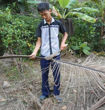 Những lúc rảnh rỗi, Nho tranh thủ róc lá dừa lấy cọng bán (làm chất đốt, nhúm lửa...) lấy tiền mua sách vở