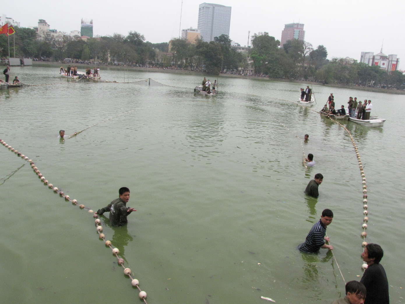 Bổ lưới bao vây cụ rùa