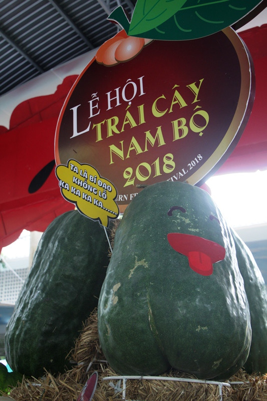 Củ, quả 'khủng' ở khu vườn 'kỳ hoa dị thảo' Nam bộ ảnh 1