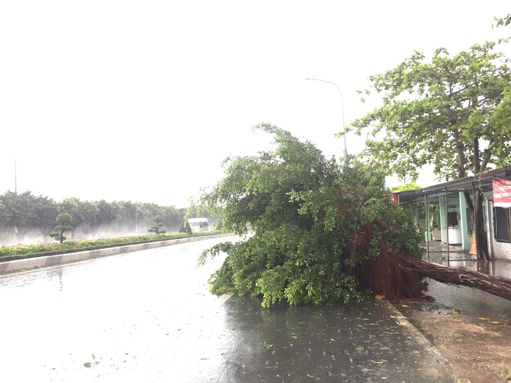 Bão số 9 suy yếu thành áp thấp nhiệt đới ảnh 13 Bão số 9 suy yếu thành áp thấp nhiệt đới ảnh 13