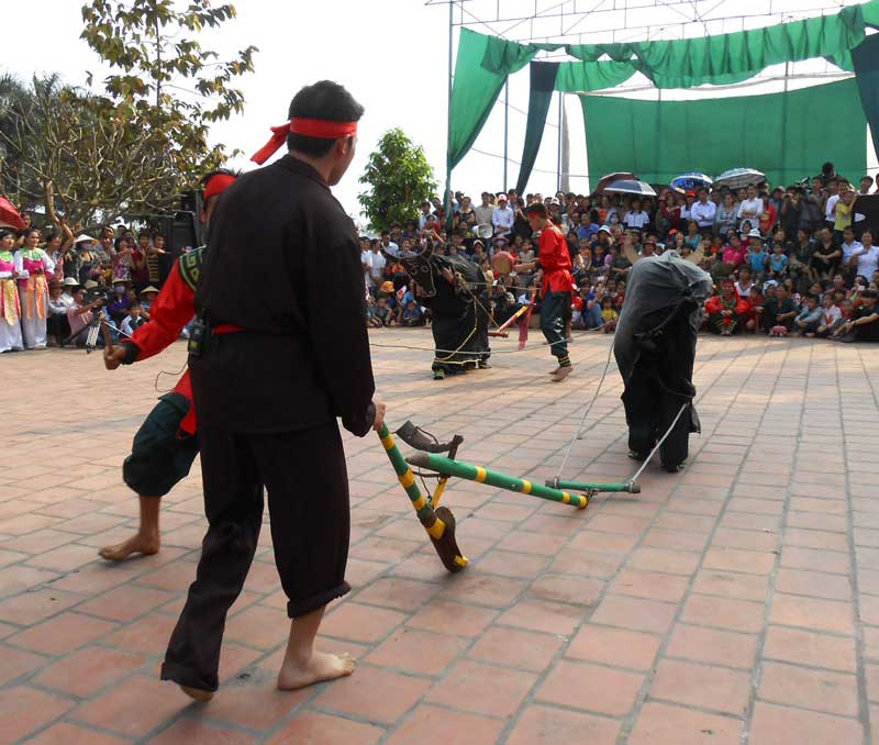 Cuộc thi cày mở đầu cho hội thi canh nông, bao giờ cũng vậy công việc của nhà nông bắt đầu từ khầu cầy ruộng, lúa có tốt hay không chính là nhờ vào việc cầy sâu bừa kỹ. Trên sân đình hai chàng rể đóng vai thợ cày mặc quần áo nâu chít khăn trên đầu, đi theo là hai đầy tớ mang theo trống khẩu để cổ vũ, còn hai người đóng làm trâu mặc quần áo đen, đeo mặt nạ. Sau 4 đường cày, nếu ai cày thẳng, không lệch vai cày và cày nhanh thì người đó thắng