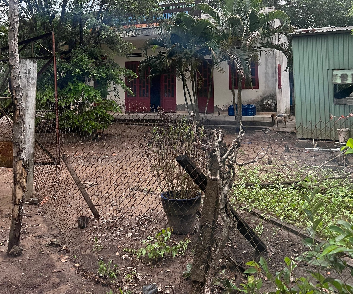 Một phần khu đất được Công ty CP Lâm nghiệp Sài Gòn thuê. Ảnh: CTV Một phần khu đất được Công ty CP Lâm nghiệp Sài Gòn thuê. Ảnh: CTV