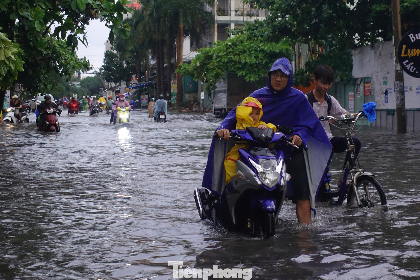 Theo ghi nhận của PV, một đoạn đường Phạm Đức Sơn (phường 16, quận 8) dài khoảng 50 m bị ngập sâu, các phương tiện di chuyển rất khó khăn khi qua khu vực này.
