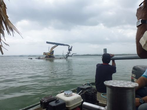 Theo chân “lâm tặc” xem khai thác gỗ dưới lòng hồ ở Panama ảnh 5